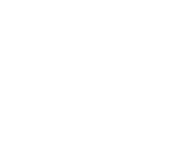 logo footer